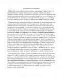 El Maltratro a los Animales