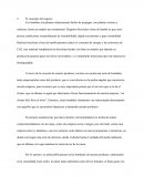 Bicicletas a base de Bambú