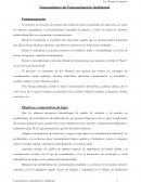Proyecto Contaminación Ambiental