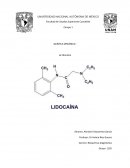 Fisica