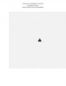 Practica de enfermeria. Rol del cuidado del individuo y la rehabilitación del mismo