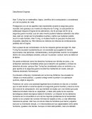 Ensayo The Imitation Game