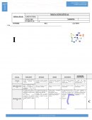 Situó los conceptos de manera lógica y organizada, lo que facilita la comprensión y entendimiento del tema presentado.