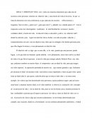 Ensayo video ideal y mision de vida