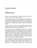 Dirección General RESUMEN EJECUTIVO Bono S.A.