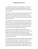 Importancia de la vida