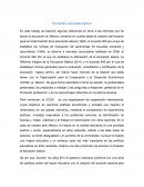 Contexto socio-educativo