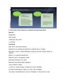 Como se lleva a cabo la selección y contratación de personal para laborar