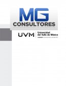 Plan de Mercadotecnia MG Consultores