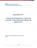 Laboratorio. Planes de Emergencia y Control de Incendio