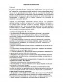 Etapas de la adolescencia Pubertad