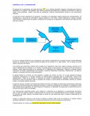 Desarrollo organizacional