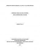 Derechos constitucionales INSTITUTO DE PROYECCIÓN REGIONAL Y EDUCACIÓN A DISTANCIA