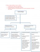 Teoría Y Filosofía del conocimiento