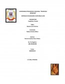 Glosario De Terminos - Español