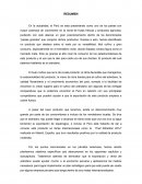 Exportación de Arándanos