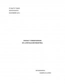 Causas y consecuencias de la revolución industrial . PRINCIPALES CAUSAS