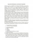 ANALISIS DE REVISION DE LOS ESTADOS FINACIEROS