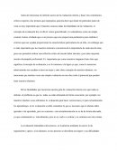 PRODUCTO 2 - INFORME PRELIMINAR DE EVALUACIÓN INTERNA