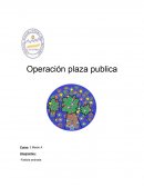 Operacion plaza publica proyecto