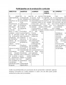 Participantes de la evaluación curricular
