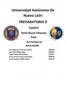 Actividad de aplicación español