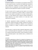 La importancia del DO en las empresas