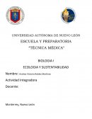 Como afecta la temperatura a las plantas?