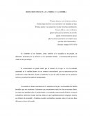 Pelicula la sombra y la tierra