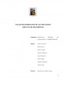 Taller neurobiología circuito de recompensa y adicción