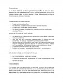 Costos estandar. Características