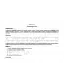 Ingenieria Industrial