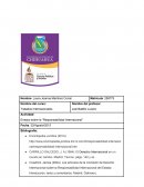 Ensayo sobre la “Responsabilidad Internacional”