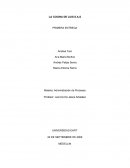 Procesos de empresa productiva