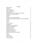 Plan de finanzas. IMPORTANCIA DE CONTAR CON UN PLAN FINANCIERO