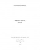 IMPACTO AMBIENTAL A CAUSA DE LA INDUSTRIA AUTOMOTRIZ