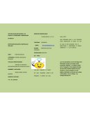 INSTITUCION EDUCATIVA PARTICULAR SAN LUIS XXI FERIA ESCOLAR NACIONAL DE CIENCIA Y TECNOLOGIA E INNOVACION