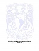 Rubro clientes Facultad de Estudios Superiores Cuautitlán.