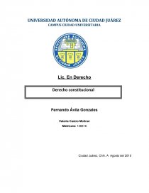 CAPITULO 1 EL PODER CONSTITUYENTE. Página 1