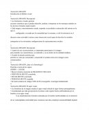 Teoría de la IMAGEN Introducción al alfabeto visual