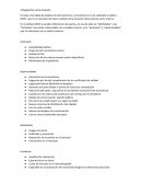 Diagnostico situación Nivea