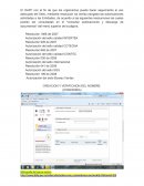 CREACION Y VERIFICAION DEL NOMBRE. (HOMONIMIA)