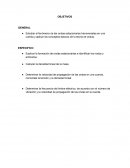 Laboratorio de ondas