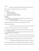 Actividad 1 de Operaciones logísticas y administración de cadenas de suministro globales.