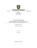 Definiciones de Econometría