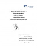 TRABAJO GRUPAL MODULO I CURSO: ANTROPOLOGÍA SOCIOCULTURAL