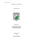 Ensayo de laboral individual