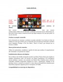 CASO NETFLIX. ¿Cuál cree usted que es el secreto detrás del éxito de Netflix?