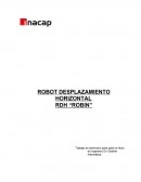 Robot de desplazamiento lineal