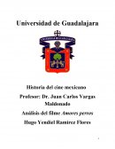 Analisis del film Amores perros